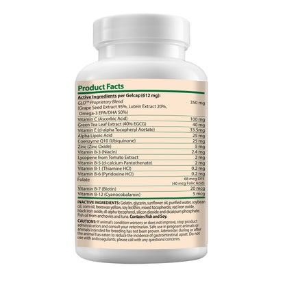 Ocu-GLO for Medium and Large Dogs 90 Cap - Default Title - product image 2