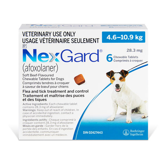 NexGard Chewable Tablets for Dogs, 4.6 - 10.9 kg (Blue), 6 Chews