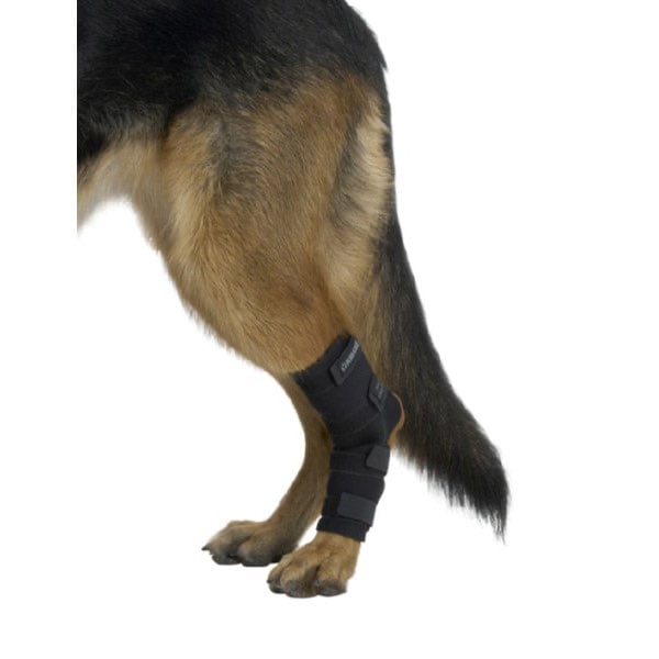 Rehab Dog Hock Protector - Large - product image 1