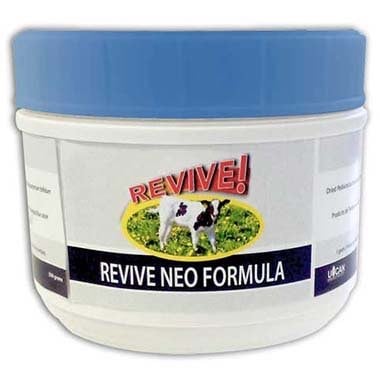 Revive Neo Formula 500 g Jar - Default Title - product image 1