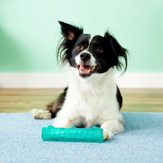 Squeezz Crackle Stick for Dogs 1 Toy - view 1