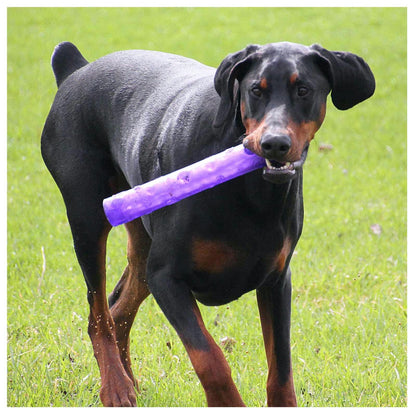 Squeezz Crackle Stick for Dogs 1 Toy, Random, Large - view 1