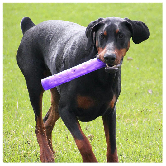 Squeezz Crackle Stick for Dogs 1 Toy, Random, Large - view 1