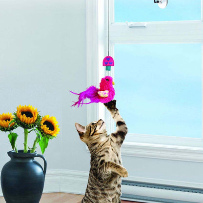 Connects Window Teaser for Cats 1 Unit - view 2