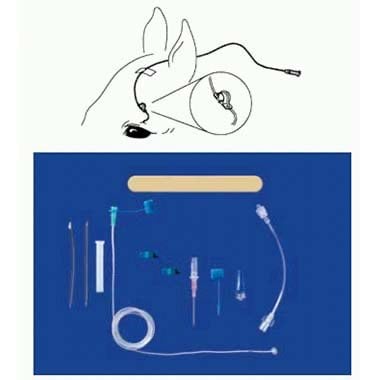 Eye Lavage Kit for Horses - Default Title - product image 1