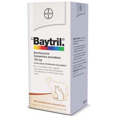 Baytril for Dogs, 150 mg, 100 Tablets