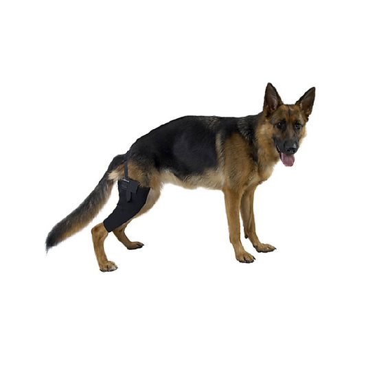 Rehab Dog Left Knee Protector - Medium - product image 1