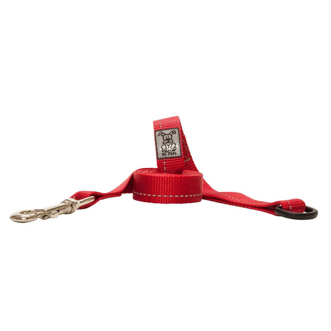 Primary Leash 6 Ft for Dogs - Red / Standard - product image 1