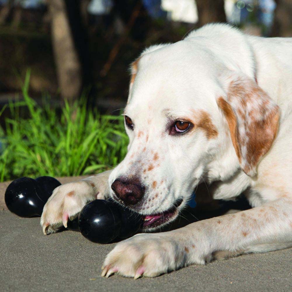 Extreme Goodie Bone for Dogs 1 Unit, Black, Large - Default Title - product image 3
