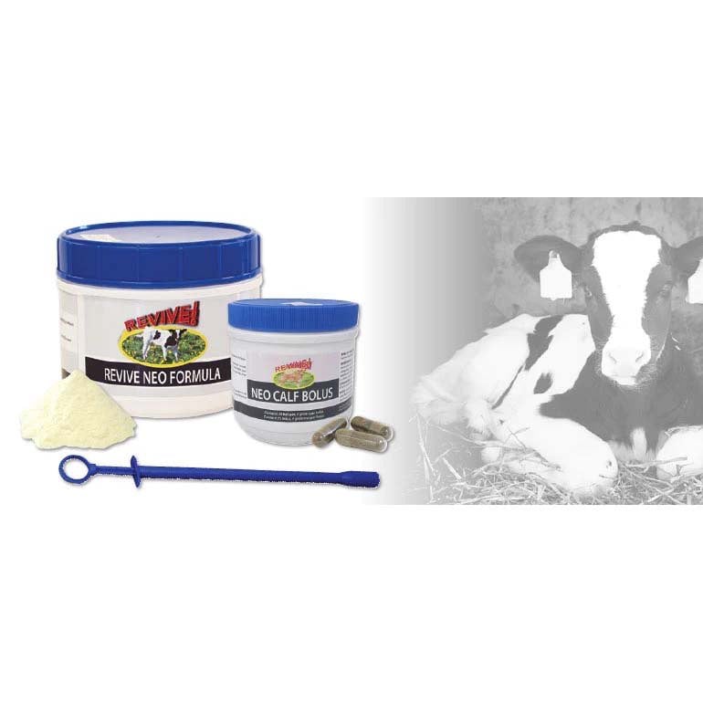 Revive Neo Calf Bolus 25 Bolus - Default Title - product image 1