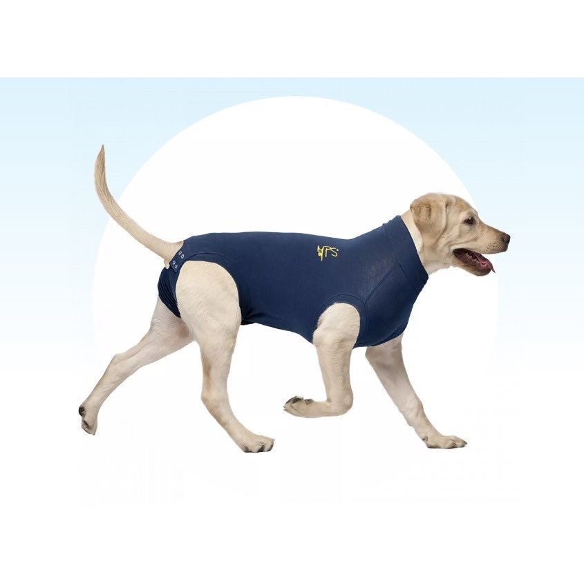 Medical Pet Shirt for Dogs (Blue) 1 Unit, XL - view 2