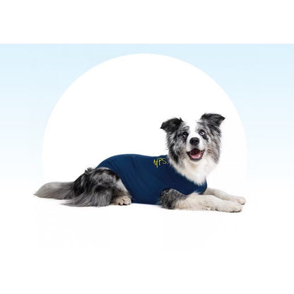 Medical Pet Shirt for Dogs (Blue) 1 Unit, Large - view 2