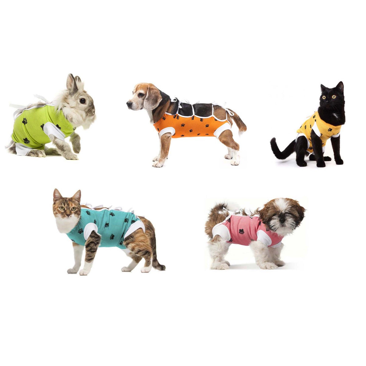 Postoperative Gown for Cats, Dogs and Small Pets 1 Unit, Random, Medium - Default Title - product image 1