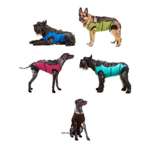 Postoperative Gown for Cats, Dogs and Small Pets 1 Unit, Random, Large - Default Title - product image 1