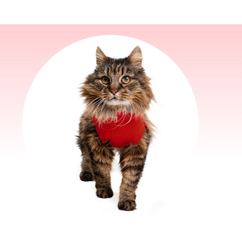 Medical Pet Shirt for Cat - view 18