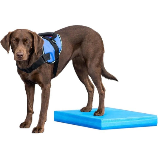 Balance Pad for Dogs (1 Pad) (15 in x 18.25 in) - Default Title - product image 2
