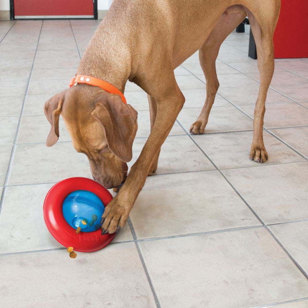 Gyro Toy for Dogs (Blue) 1 Unit, Blue and Red, Large - Default Title - product image 3