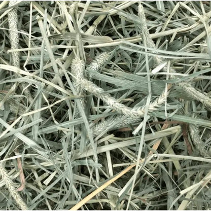 Hay Blends Western Timothy + Orchard Grass for Small Pets 0.570 kg Bag - Default Title - product image 3