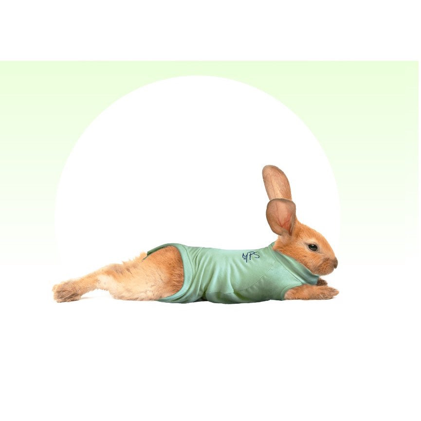 Medical Pet Shirt for Rabbit - view 5