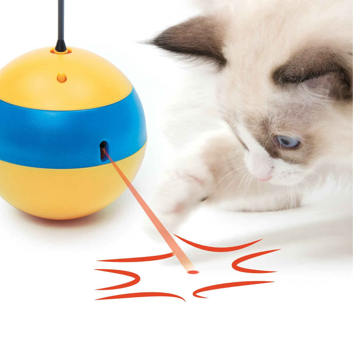 Spinning Bee for Cats 1 Unit - Default Title - product image 3