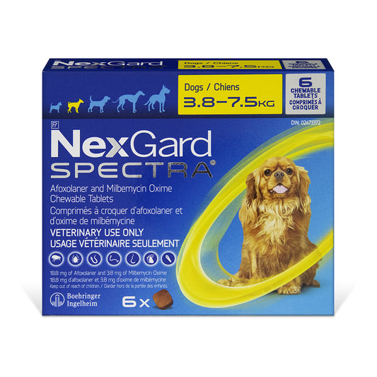 NexGard Spectra Chewable Tablets for Dogs, 3.8 - 7.5 kg (Yellow), 6 Chews