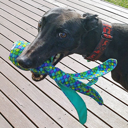 Wubba Finz for Dogs (Blue) 1 Unit, Large - Default Title - product image 3