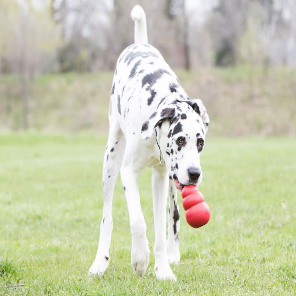 Classic Stuffing Toy for Dogs - XXLarge - product image 3