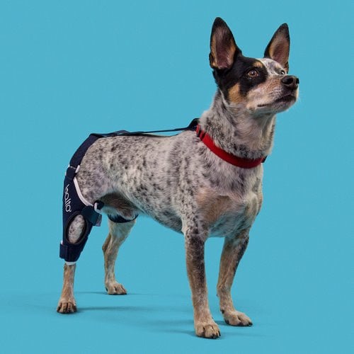 Knee Brace Balto Jump for Rear Right Leg for Dogs - Standard - product image 2