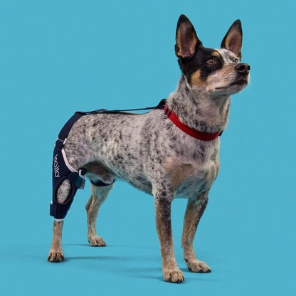 Knee Brace Balto Jump for Rear Right Leg for Dogs - Standard - product image 2