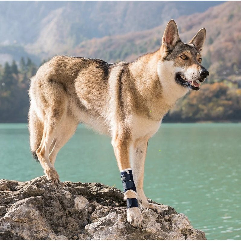 Carpal Tarsal Laxity Splint - view 7