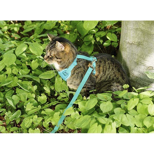 Harness Adventure for Cats (Teal), Medium - Default Title - product image 2