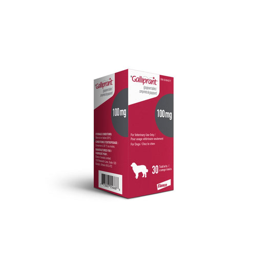 Galliprant for Dogs, 100 mg, 30 Tablets