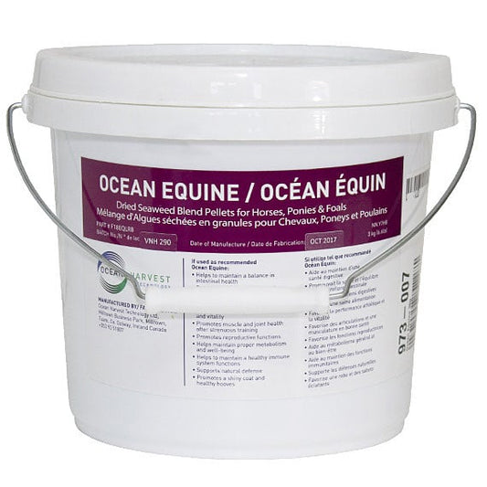 Ocean Equine for Horses 3 kg Pail - Default Title - product image 1