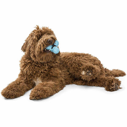 Tux Treat Toy for Dogs (Aqua) 1 Unit - view 1