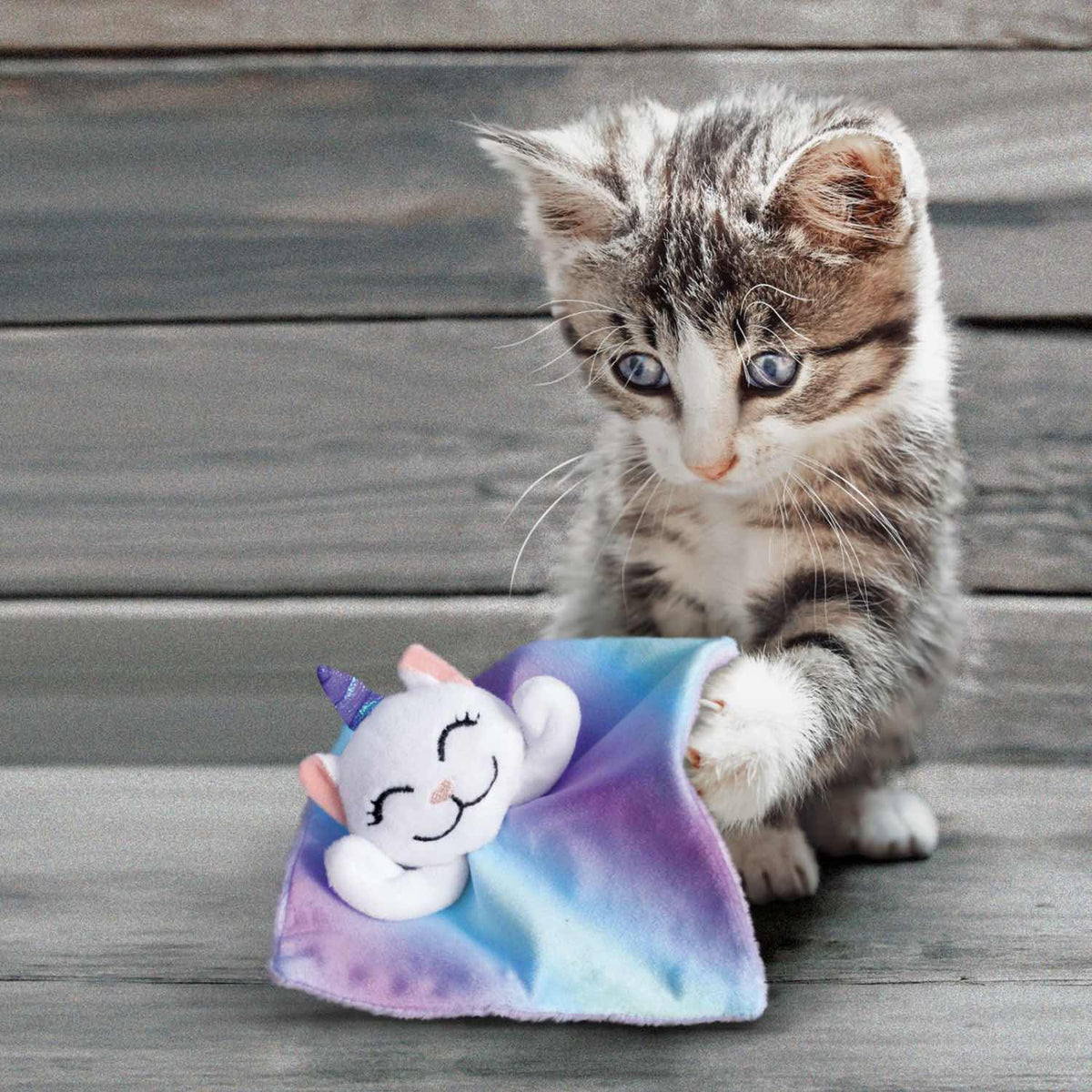 Crackles Toy for Cats 1 Unit - view 2