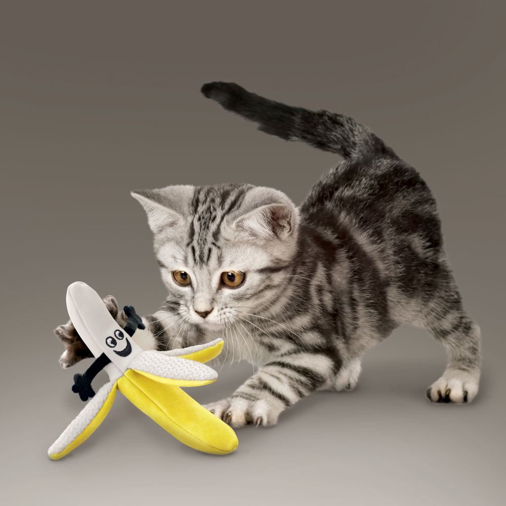 Better Buzz Toy for Cats 1 Unit - Default Title - product image 3