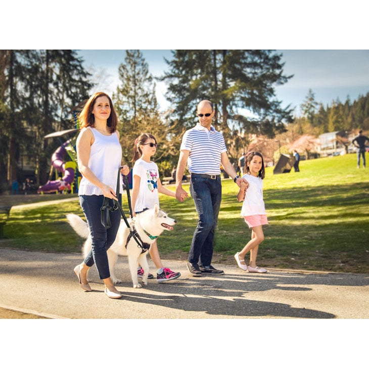 Harness Tempo No Pull for Dogs - Default Title - product image 3