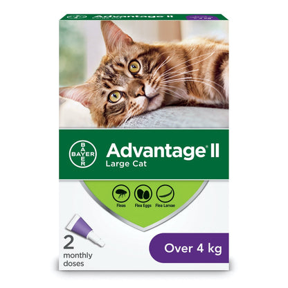 Advantage II for Cats - Over 4 kg (Purple) / Pack of 2 X 0.8 mL - product image 1