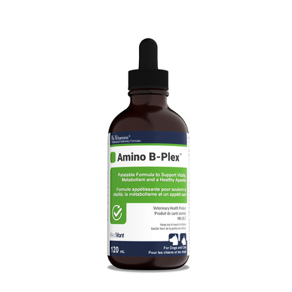 Rx Vitamins Amino B Plex for Cats and Dogs - 120 mL - product image 1