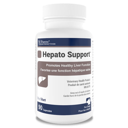 Rx Vitamins Hepato Support for Cats and Dogs Capsule - 90 Cap - product image 1