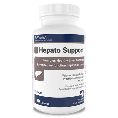 Rx Vitamins Hepato Support for Cats and Dogs Capsule - 180 Cap - product image 1