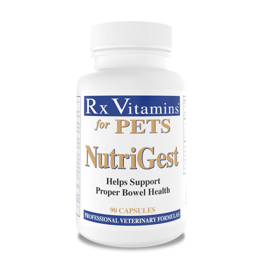 Rx Vitamins NutriGest Powder for Cats and Dogs 132 g Jar - Default Title - product image 1