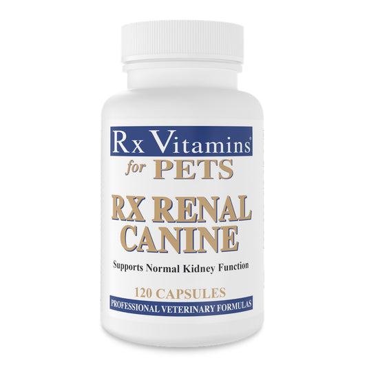 Rx Renal Canine Capsule 1 Bottle of 120 Capsules