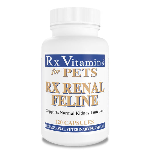 Rx Renal Feline Capsules for Cats 120 Cap - Default Title - product image 1
