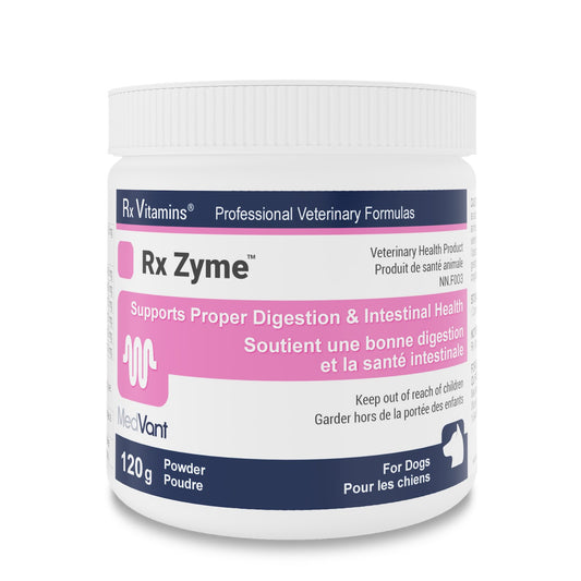 Rx Vitamins Rx Zyme Powder for Cats and Dogs 120 g Jar - Default Title - product image 1