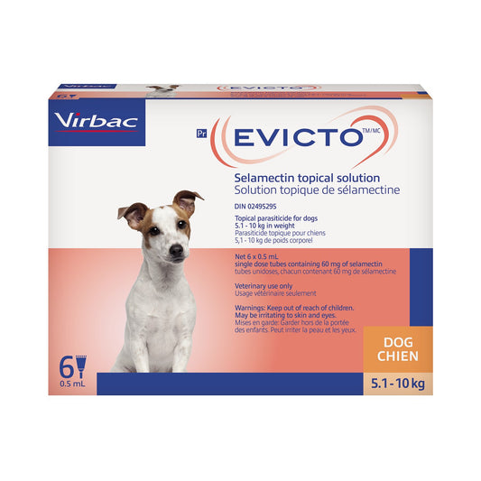 Evicto for Dog, 5.1 - 10 kg (Orange), 6 X 0.5 mL