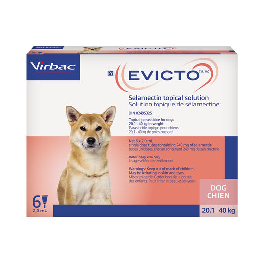 Evicto for Dog, 20.1 - 40 kg, 6 X 2 mL