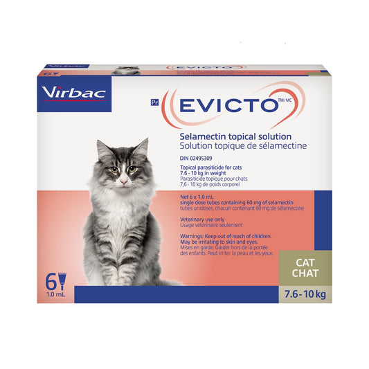 Evicto for Cat, 7.6 - 10 kg, 6 X 1 mL