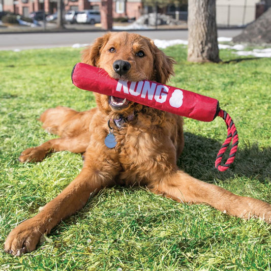 Signature Stick with Rope for Dogs 1 Unit - Default Title - product image 2