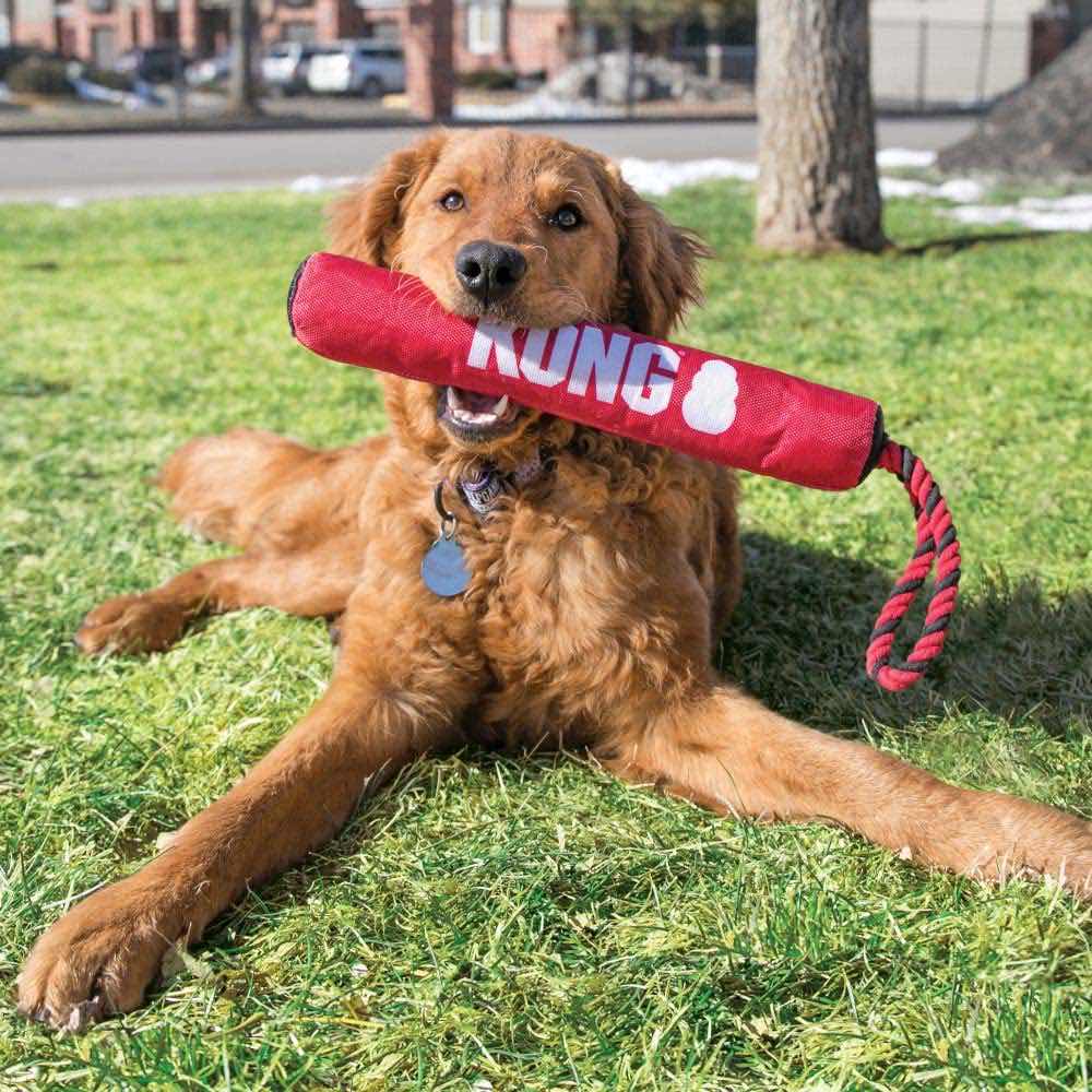 Signature Stick with Rope for Dogs 1 Unit - Default Title - product image 3